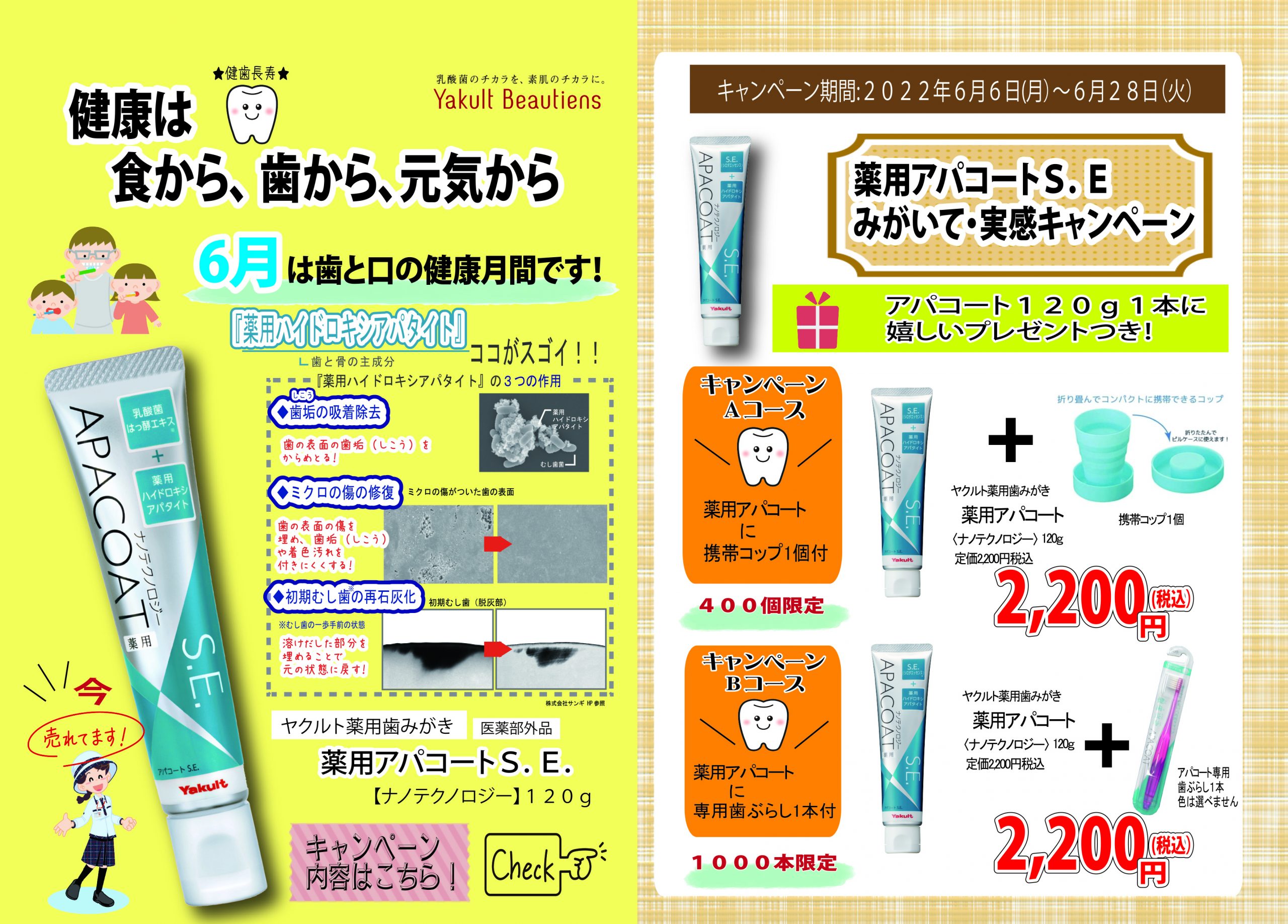日本正規ヤクルト　アパコート　120g 6本 薬用 歯みがき　歯磨き粉 歯磨き粉